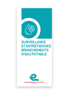 Surveillance et entretien des branchements