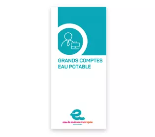Grands comptes