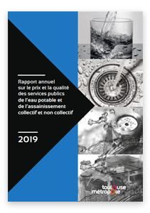 Rapport 2019