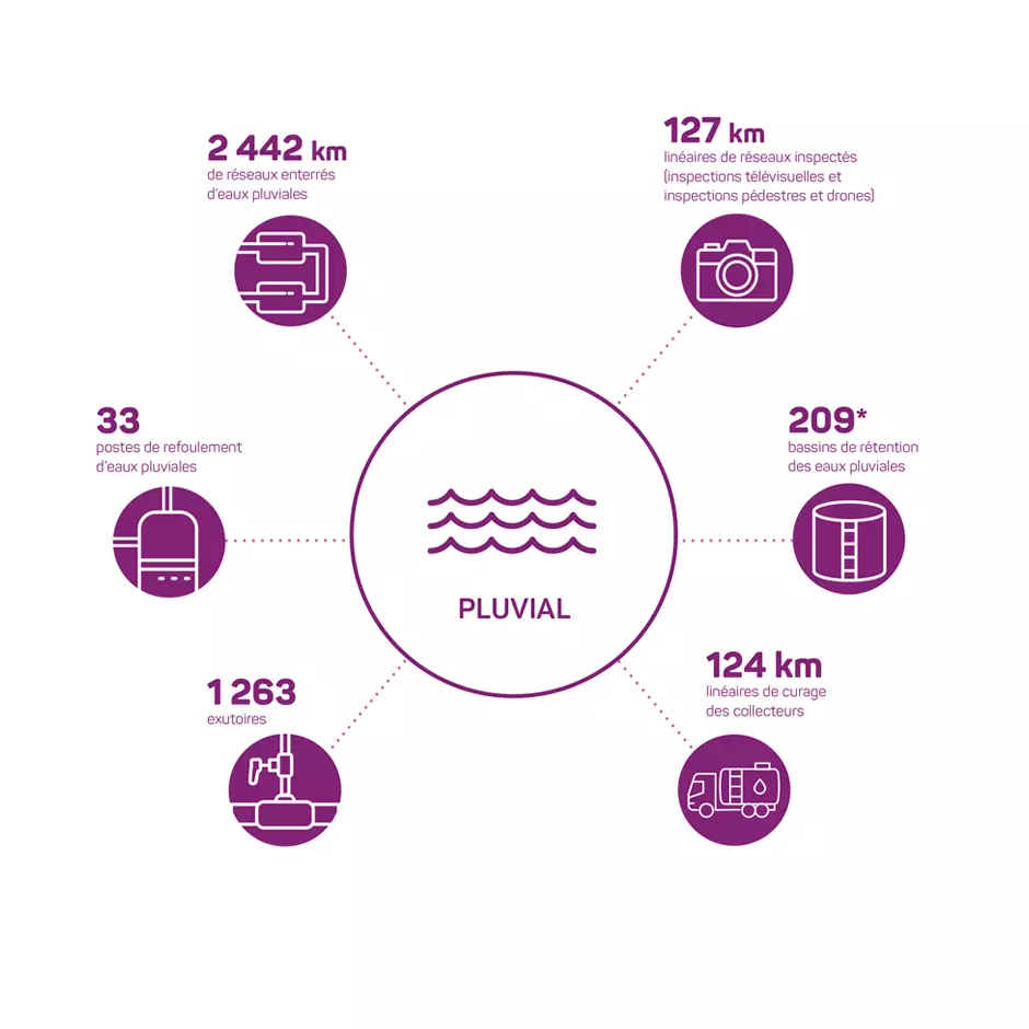 EDTM rapport activites RPQS 2023 Pluvial