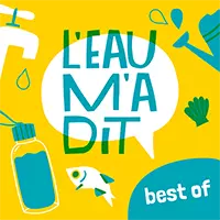 L'eau m'a dit - Icone