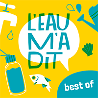 L'eau m'a dit - Icone