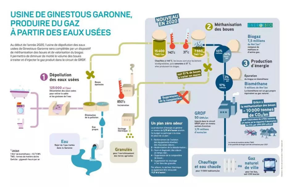 Ginestous