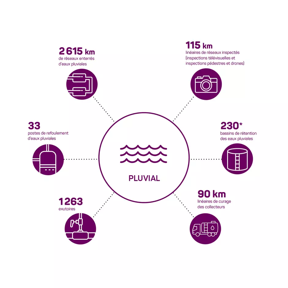 EDTM rapport activites RPQS 2024 Pluvial