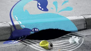 Baleine trotoir